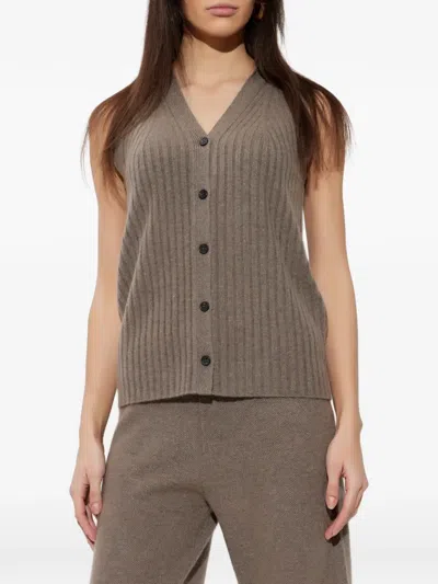 Lisa Yang Buttoned V-neck Vest In Brown