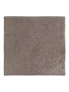 Lisa Yang Cashmere Scarf In Brown