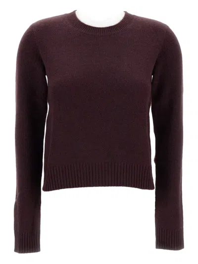 Lisa Yang Crew-neck Long-sleeves Sweater In Burgundy