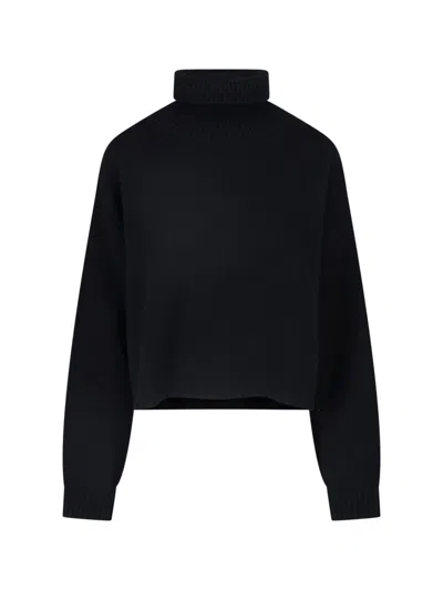 Lisa Yang Cropped Boxy High Ribbed Turtleneck Knit Sweater In Black