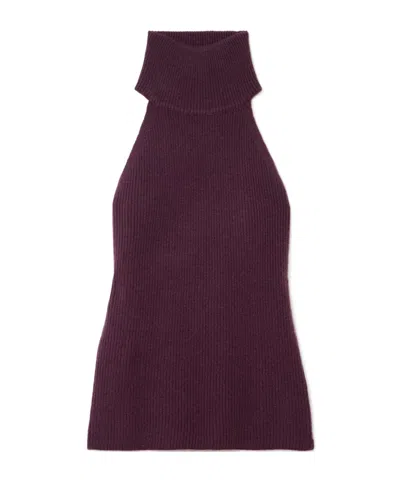 Lisa Yang Freya Ribbed Cashmere Turtleneck Tank In Burgundy