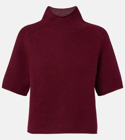 Lisa Yang Fride Cashmere Turtleneck Sweater In Brown