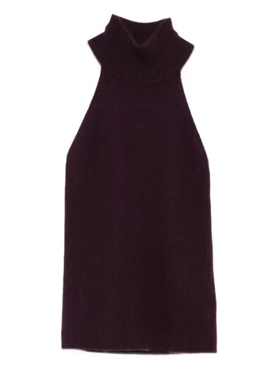 Lisa Yang High-neck Ribbed Top In Burgundy