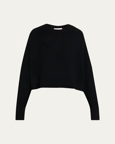Lisa Yang Karine Cashmere Crewneck Sweater In Black