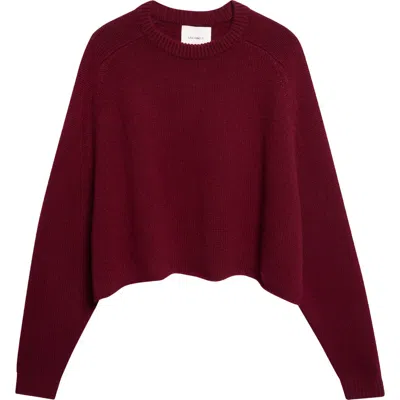 Lisa Yang Karine Oversize Raglan Sleeve Cashmere Sweater In Burgundy