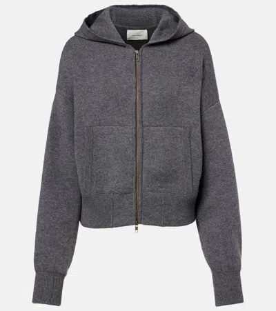 Lisa Yang Lilia Cashmere Zip-up Sweater In Gray