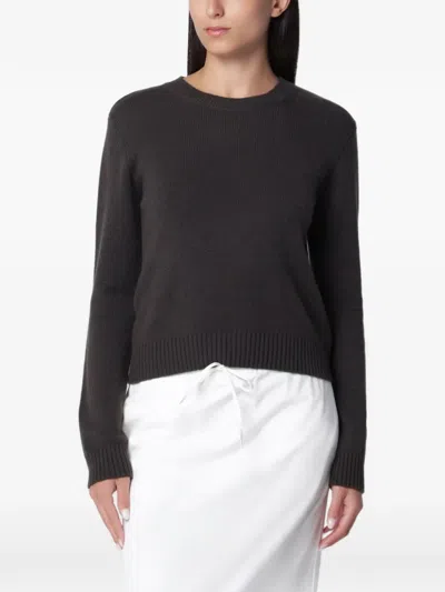 Lisa Yang Long-sleeved Pure Cashmere Crewneck Jumper In Brown