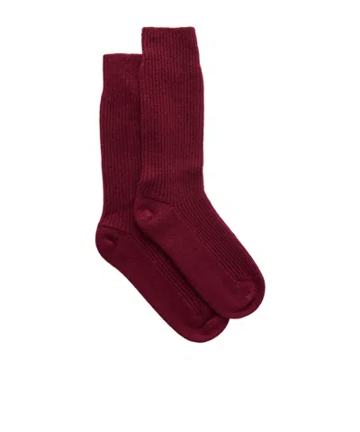 Lisa Yang Ribbed Cashmere Socks In Burgundy