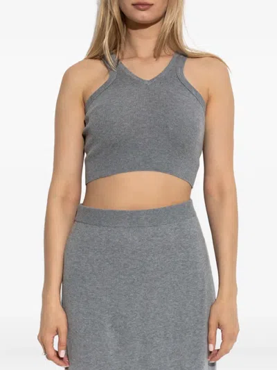 Lisa Yang Ribbed V-neck Top In Gray