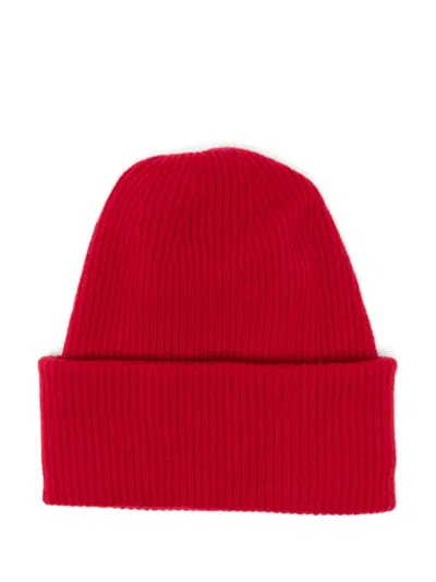 Lisa Yang Stockholm Beanie In Pink