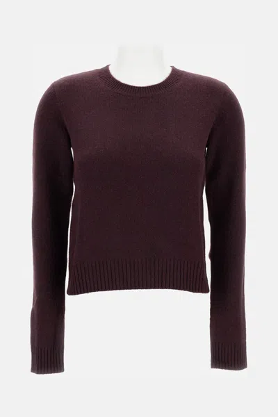 Lisa Yang Sweater In Brown