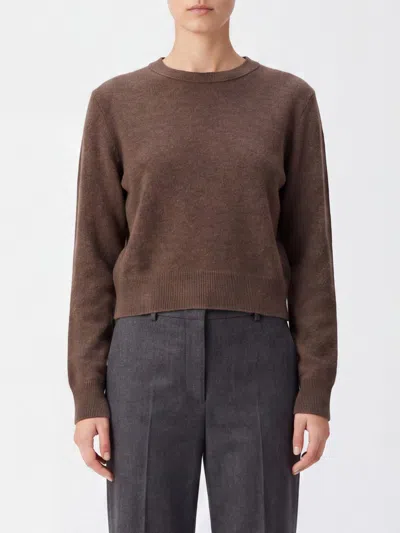 Lisa Yang Sweater Woman Color Brown