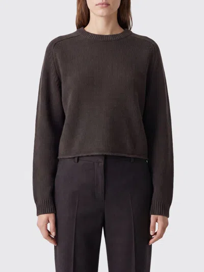 Lisa Yang Sweater Woman Color Green In Brown