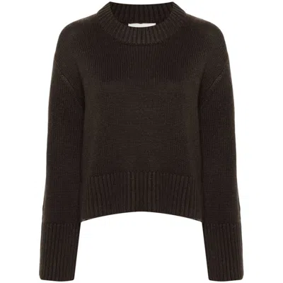 Lisa Yang Sweaters In Brown