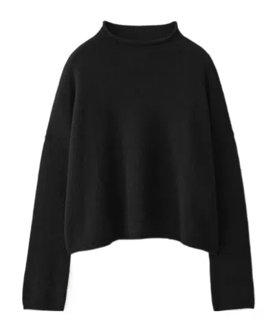 Lisa Yang Turtleneck Sweater In Black