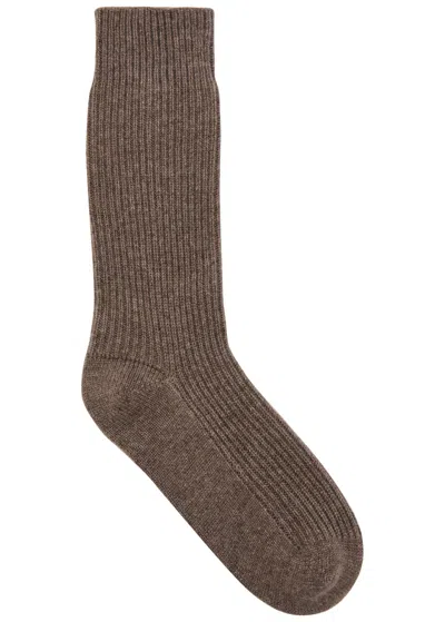 Lisa Yang Zera Ribbed Cashmere Socks In Brown