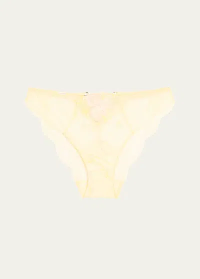 Lise Charmel Frisson D'or Embroidered Lace Italian Briefs In Yellow