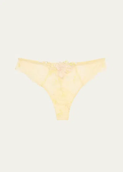 Lise Charmel Frisson D'or Embroidered Lace Thong In Green