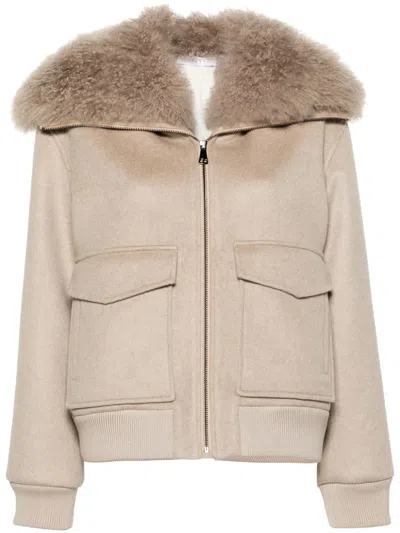 Liska Cashmere Bomber Jacket In Neutrals