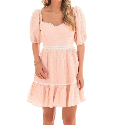 Listicle Call It Fate Embroidered Mini Dress In Mute Pink