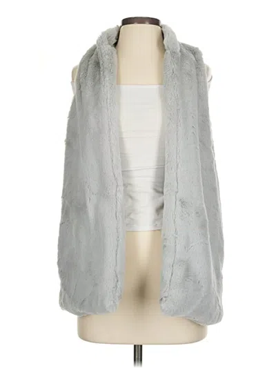 Listicle Faux Fur Vest In Gray