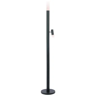 Lite Source Black Felinus Floor Lamp