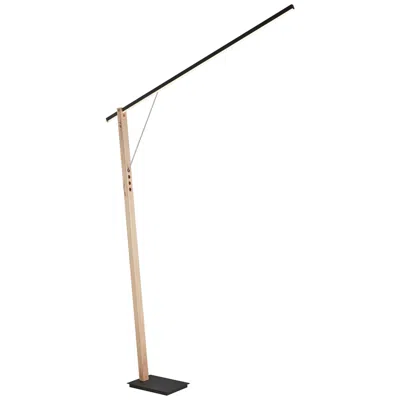 Lite Source Kylar 77" Wood And Black Led Modern Floor Lamp