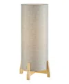 Lite Source Outdoor Cordless Canyon Table Lamp In Natural
