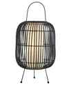 Lite Source Outdoor Cordless Clement Table Lamp In Black