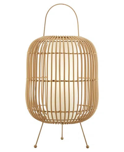 Lite Source Outdoor Cordless Clement Table Lamp In Brown