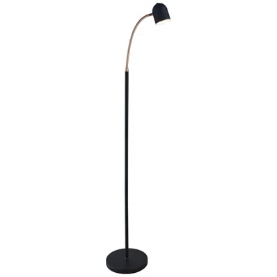 Lite Source Tiara 51" Black And Brass Modern Led Gooseneck Floor Lamp