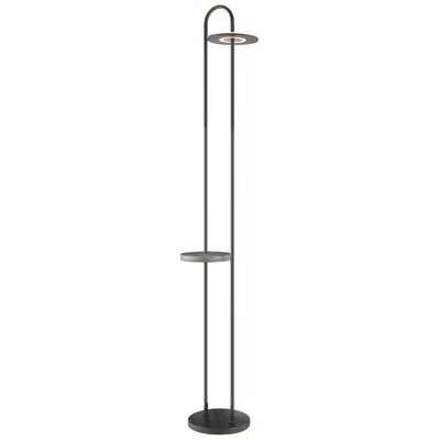 Lite Source Wonda 75" High Led Modern Floor Lamp In Black