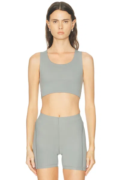 Literary Sport Maud Bra In Gray