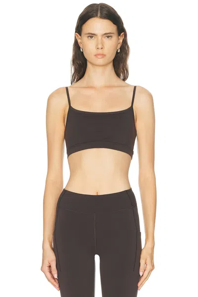 Literary Sport Nora Bra In Brown