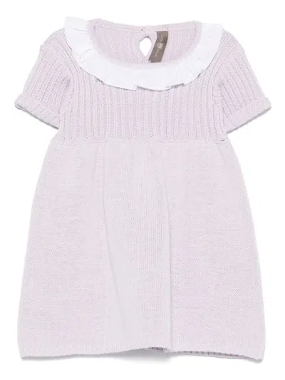 Little Bear Babies' Knitted Dress In Purple