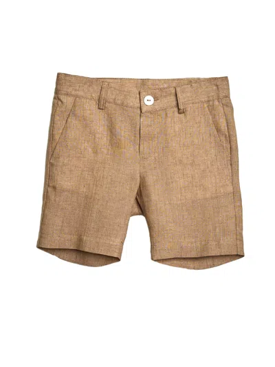 Little Bear Kids'  Shorts Brown