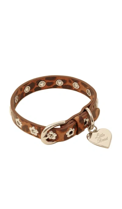 Little Beast Cougar Flower Power Collar