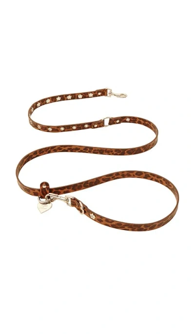 Little Beast Cougar Flower Power Leash In N,a
