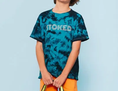 Little Chicken Kids' Boys Stoked Graphic T-shirt In Multi In Blue