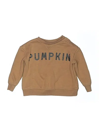 Pre-owned Little Co. By Lauren Conrad Babies' Pullover Sweater In Tan