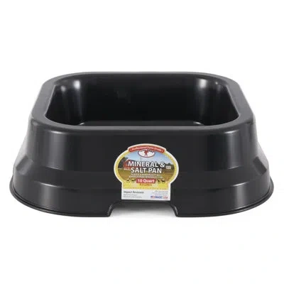 Little Giant Bowl In Black