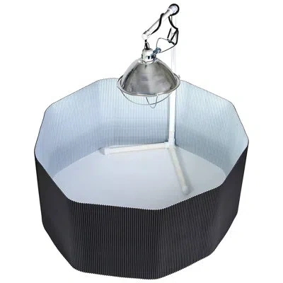 Little Giant Farm Chick/chicken/hen/pullet Brooder Round Plastic Nesting Box Set In Black;white