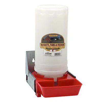 Little Giant Piglet Waterer In White;red