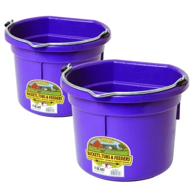 Little Giant Plastic Bucket Set In Purple