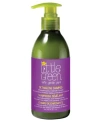 Little Green Kids Detangling Shampoo, 8 Oz. In Purple