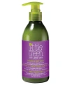Little Green Kids Detangling Shampoo, 8 Oz. In Purple