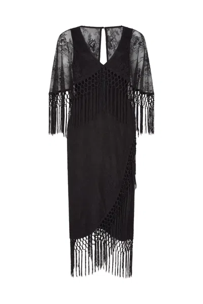 Little Lies Women's Black Tango In The Night Lace Midi Dress In Multi