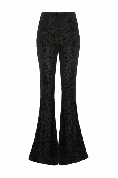 Little Lies Women's Green / Blue Hendrix Teal Devore Velvet Flares In Black