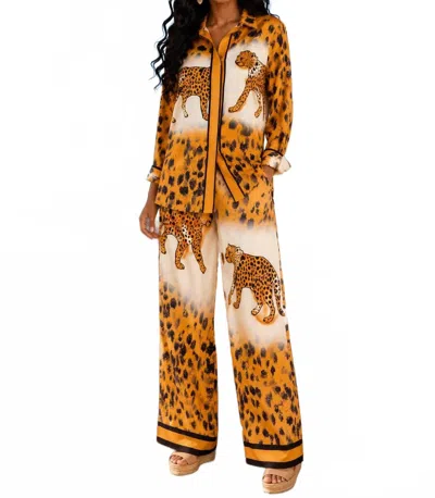 Little Secret Of Mine Animal Print Wide Leg Pant Set In Roaming The Wild In Multi