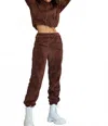 Little Secret Of Mine Women's Cropped Hoodie Jogger Set In Cocoa In Brown